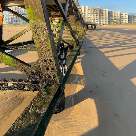 The Spot - 200m De La