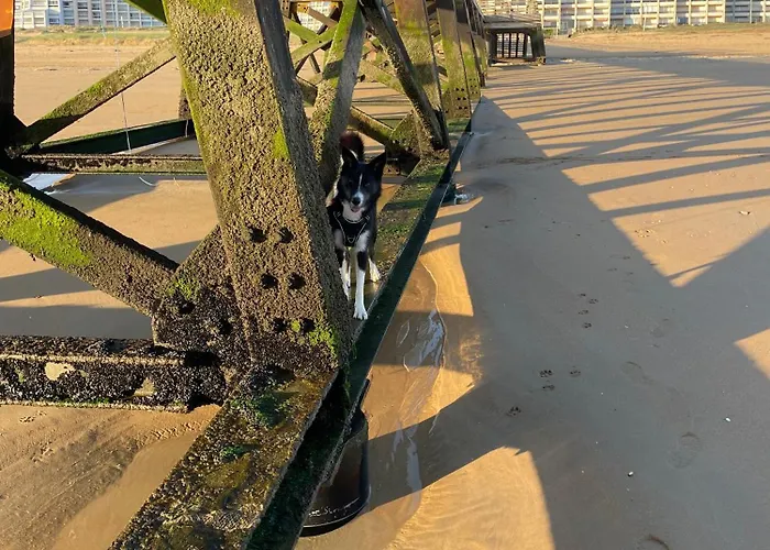 The Spot - 200m De La