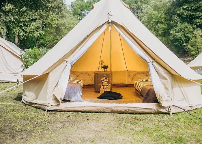 Kemping The Spot - 200m De La