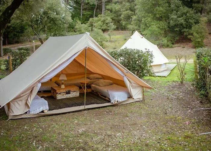 Kemping The Spot - 200m De La Saint-Hilaire-de-Riez