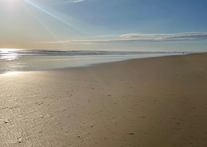 Kemping The Spot - 200m De La